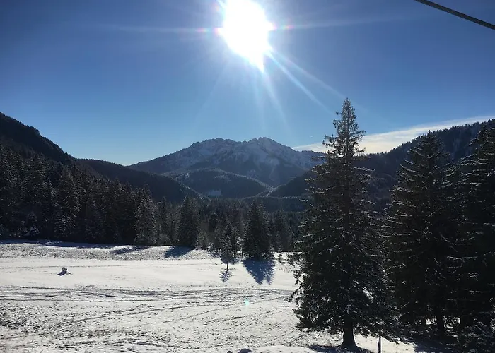 Ferientraum Kobellstrasse Hébergement de vacances Rotta